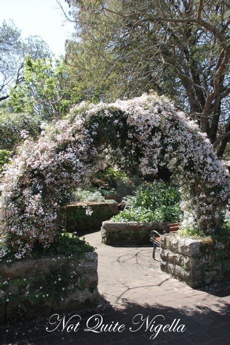 The Camellia Gardens Tea House, Caringbah @ Not Quite Nigella