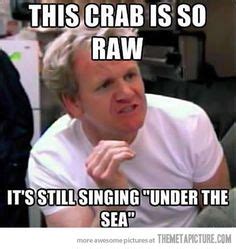 Gordon Ramsay after watching The Little Mermaid…