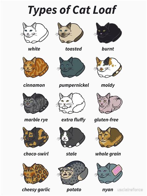 The Types of Cat Loaf Essential T-Shirt by usclaireforce in 2022 ...