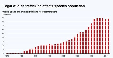 What Is Poaching? The Horrendous Crime Explained