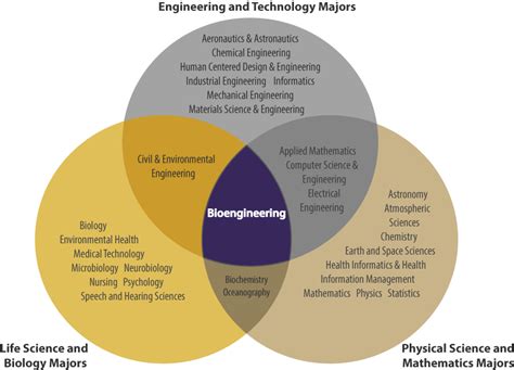 Is Bioengineering Right for Me? | UW Bioengineering