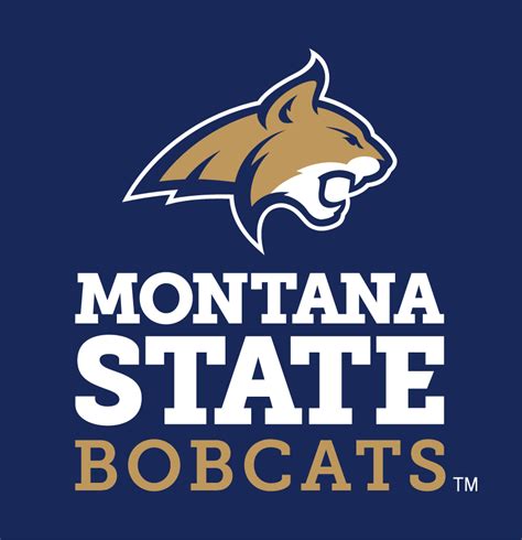 Montana State Bobcats Alternate Logo - NCAA Division I (i-m) (NCAA i-m ...