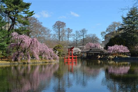 Brooklyn Botanic Garden, New York, USA - Traveldigg.com