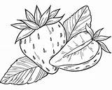 Strawberries coloring Page  Free Printable Coloring Pages sketch template