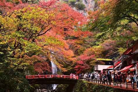 minoo_park_waterfall_osaka | Kyuhoshi