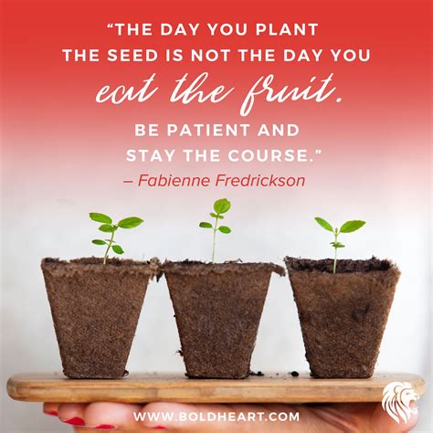 "The day you plant the seed is not the day you eat the fruit. Be patient and stay the course ...