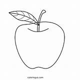Apple Coloring Pages Free Printable PDF sketch template
