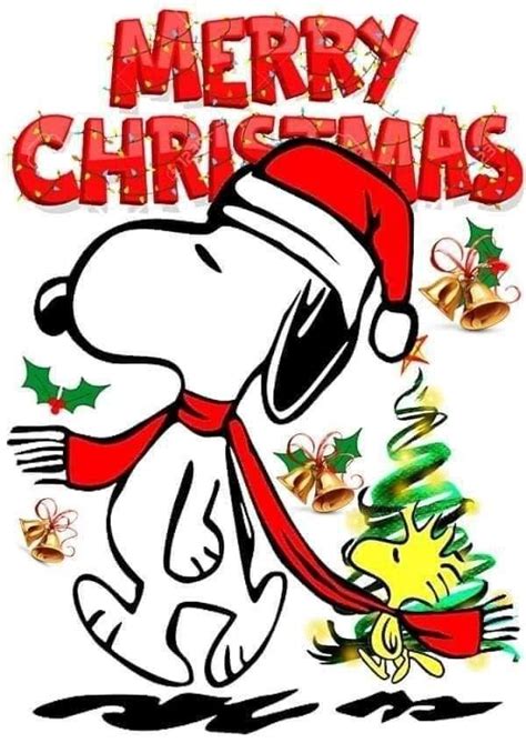 Pin by Libby Trujillo🐾 on Love Snoopy ️ | Peanuts gang christmas ...