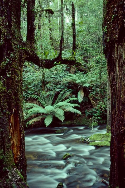 Tassie-01 | Phillip Norman Photography