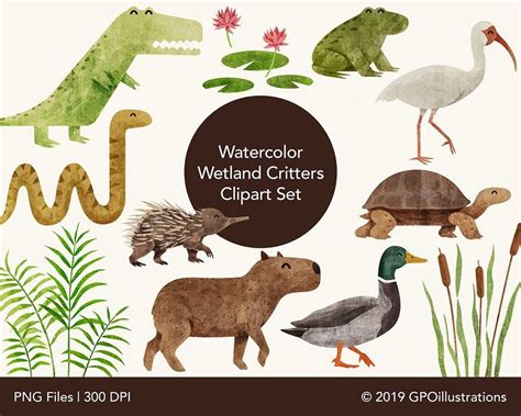 Wetlands Animals Watercolor Clipart Cute Swamp Animals - Etsy