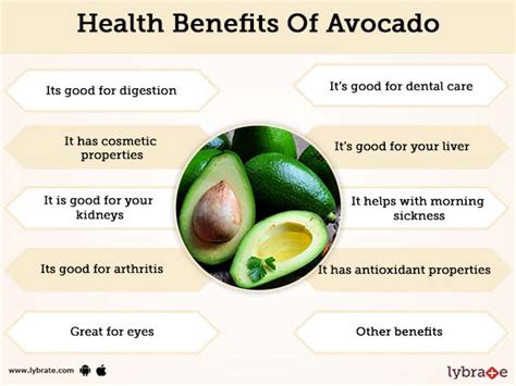 Avocado Benefits And Its Side Effects | Lybrate