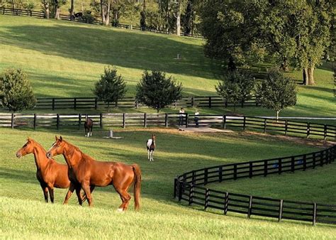 Lexington, Kentucky horse farm... | Horses, Kentucky horse farms, Beautiful farm