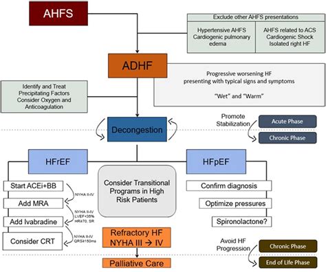 Acute decompensated heart failure (ADHF): A comprehensive contemporary review on preventing ...