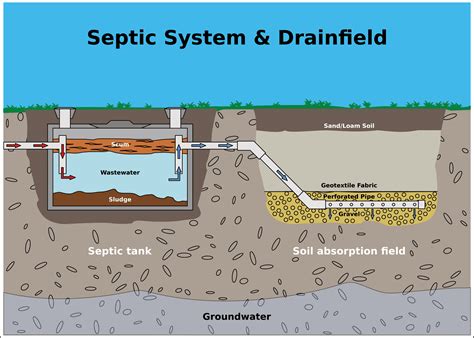 What Should I Know About My Home’s Septic System? – Rosie On The House