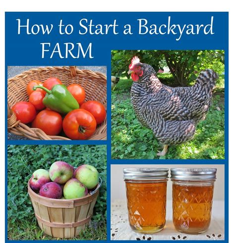 How to Start a Backyard Farm