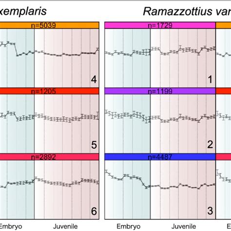 SOM clustering of gene expression profiles during development. SOM ...