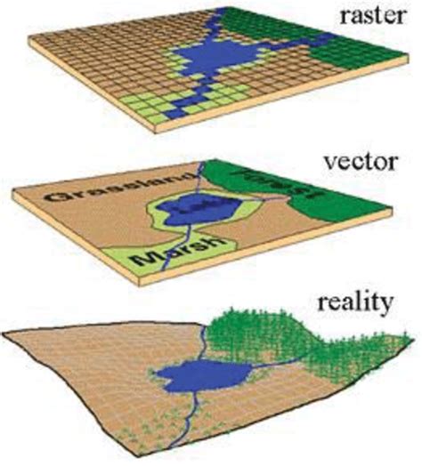 Example of vector data vs. raster data (source: http://2.bp.blogspot.com ) | Download Scientific ...