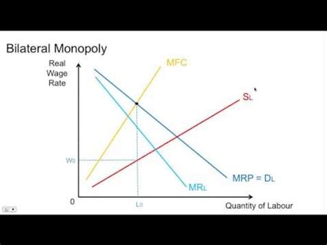 Bilateral monopoly: characteristics and examples - science - 2024