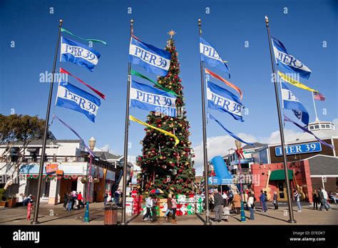 christmas tree and flags at Pier 39 of Fishermans Wharf in San Francisco, California, United ...