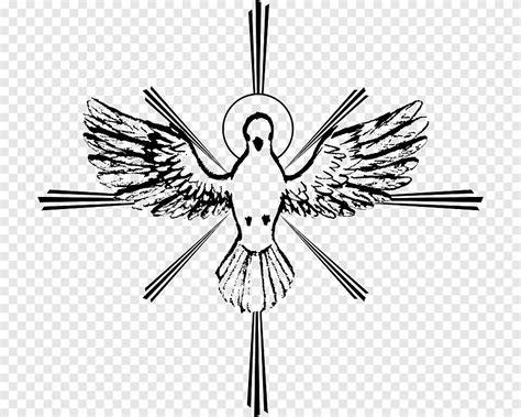 Free download | Holy Spirit Confirmation Pentecost, vertebrate, monochrome png | PNGEgg