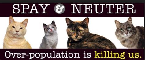 Bob Barker and America's Spay and Neuter Revolution - Life With Cats