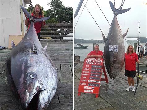 World Record Bluefin Tuna Weight