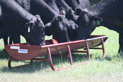 Feeders Equipment | Cattle feeder, Cow feeder, Cattle ranching