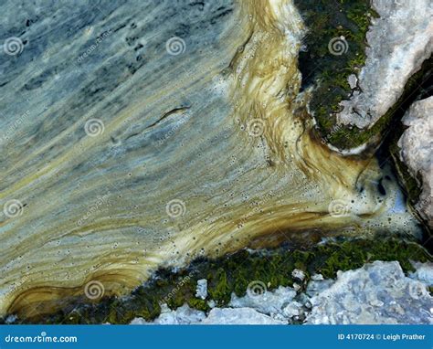 Pollution Along the Mississippi River Stock Photo - Image of algae ...