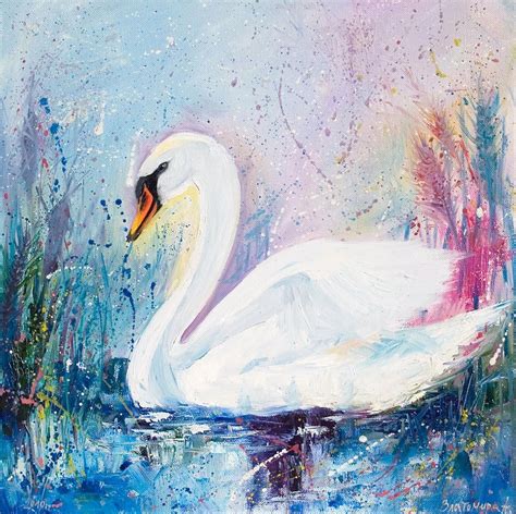 Swan | Swans