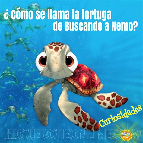 Como se llama la tortuga de Buscando a Nemo - higueroteonline.com