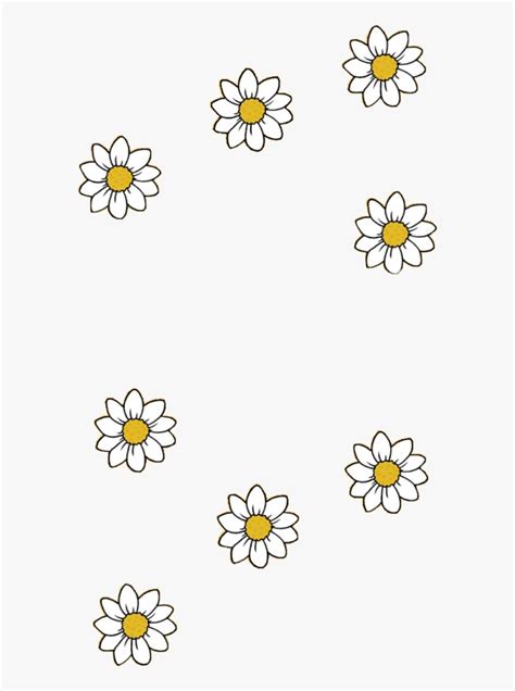 Daisy drawing, Plant drawing, Daisy flower drawing