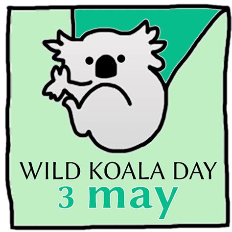 About us | Wild Koala Day