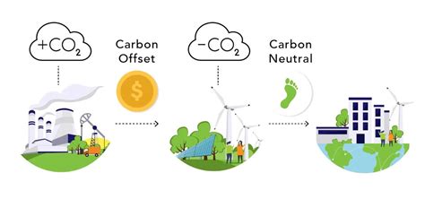 Top 3 Carbon Offset Providers