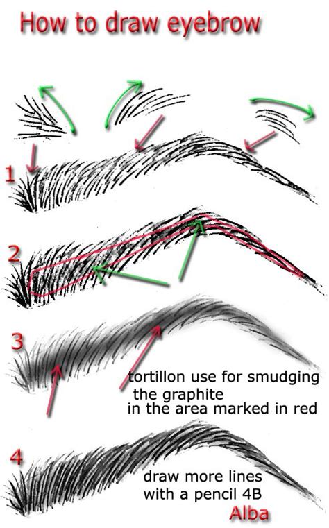 How To Draw Eyebrows Step By Step With Pencil - EyebrowShaper