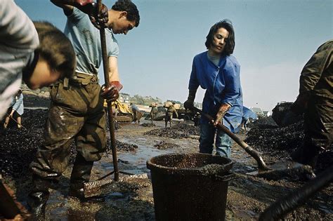 Torrey Canyon oil spill: The day the sea turned black - BBC News