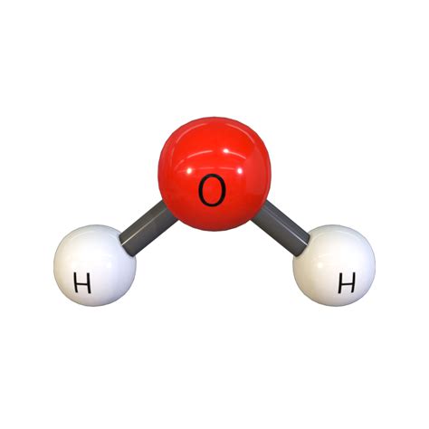 Water Molecule Model