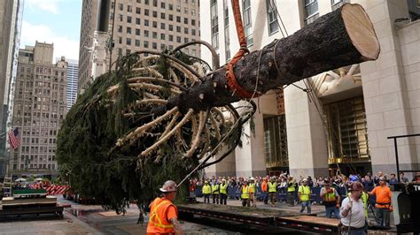 Rockefeller Center Christmas tree lighting set for Wednesday | CNN