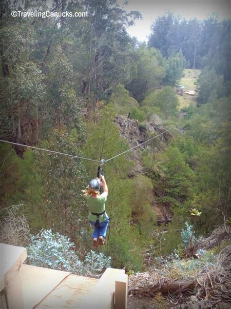 Ziplining through the Forests of Haleakala in Maui, Hawaii