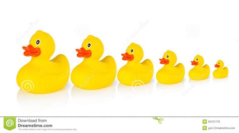 Ducks in a row clipart - Clipground