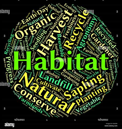 Habitat Word Representing Animals Dwellings And Habitats Stock Photo ...