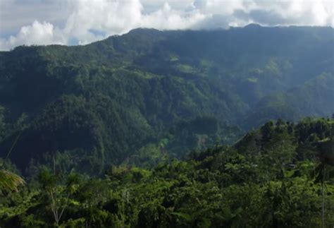 Davao Oriental's Mt. Hamiguitan declared as ASEAN Heritage Park ...