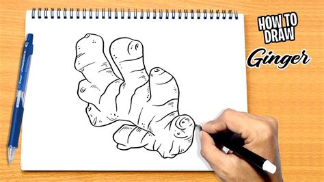 How to draw Ginger - YouTube