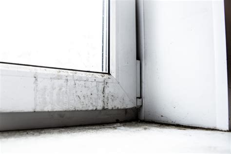 Schimmel im Altbau durch neue Fenster? » Ursachen & Lösungen