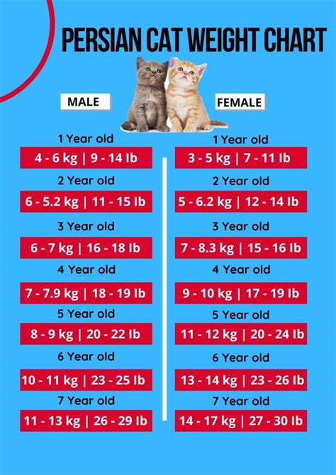 Printable Kitten Weight Chart