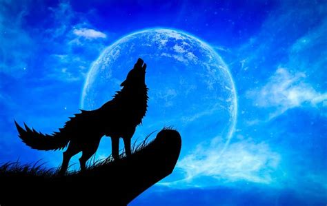 Wolf Moon Spiritual Meaning 2024: January 25 Full Moon • CMANWR1.ORG