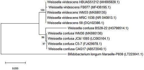 Cell-free supernatants from cultures of lactic acid bacteria isolated from fermented grape as ...