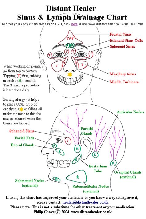 Sinus Problems, Sinusitis, Allergies, Headaches and Lymphatic Congestion. Sinus Chart. Philip ...