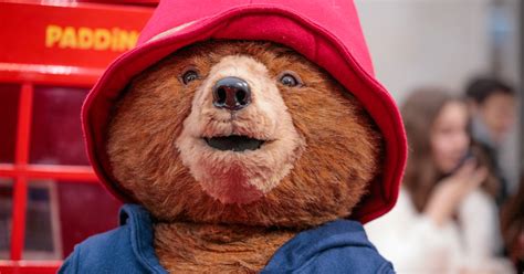 The 10 'Paddington Bear' Quotes That Will Always Inspire Joy