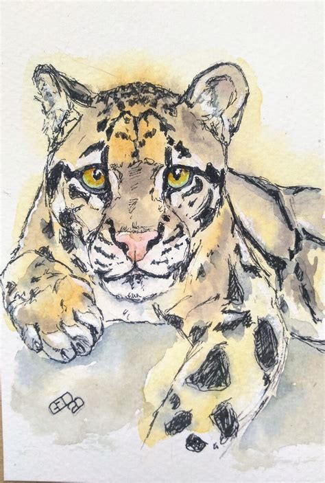 Clouded leopard painting original small watercolour wildlife | Etsy