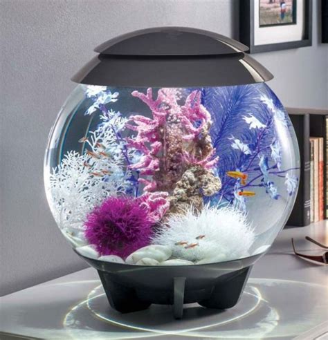 15 Unique Minimalist Ornamental Fish Aquarium Designs For Your Beautiful Home | Aquarium design ...